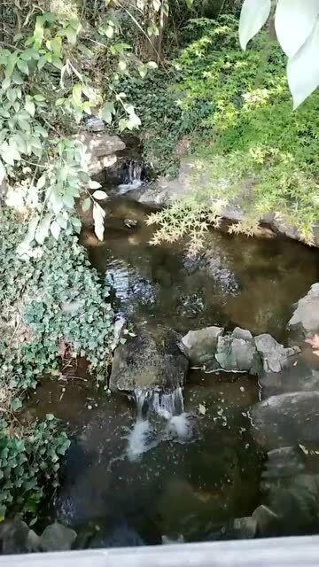 莫雷岛逃脱